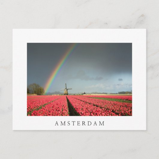 Rainbow, Tulips, Windmill Amsterdamポストカード ポストカード (正面)
