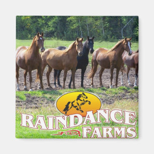 Raindanceは磁石を耕作します マグネット