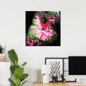 Raindrop on caldiumポスター/ウォールアート ポスター (ホームオフィス)