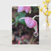 Raindrops Collection #3カード カード (黄色い花)