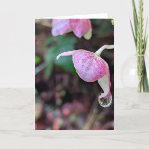Raindrops Collection #3カード カード