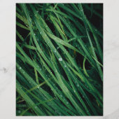 Raindrops on grass scrapbook paper (正面)