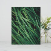 Raindrops on grass scrapbook paper (スタンド正面)