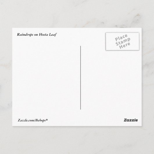 Raindrops on Hosta Leafはがき ポストカード (裏面)