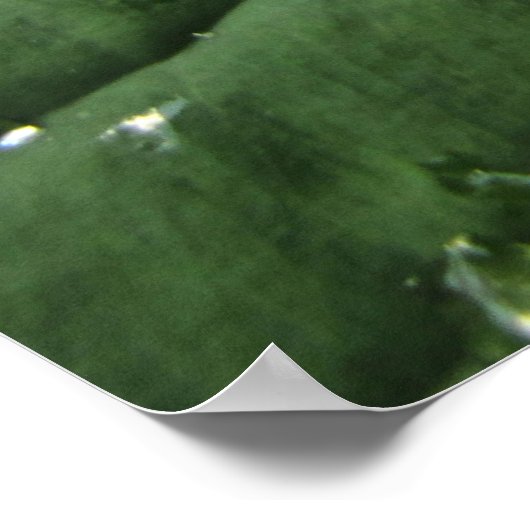 Raindrops on Hosta Leafポスター ポスター (角)