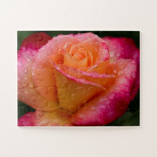Raindrops On Roses 11x14 easy ジグソーパズル (横)