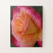 Raindrops On Roses 11x14 easy ジグソーパズル (縦)