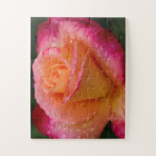 Raindrops On Roses 11x14 easy ジグソーパズル (縦)