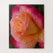 Raindrops On Roses 16x20 easy ジグソーパズル (縦)