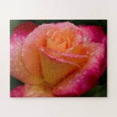 Raindrops On Roses 16x20 easy ジグソーパズル (横)