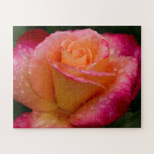 Raindrops On Roses 16x20 easy ジグソーパズル (横)