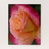 Raindrops On Roses 16x20 hard ジグソーパズル (縦)