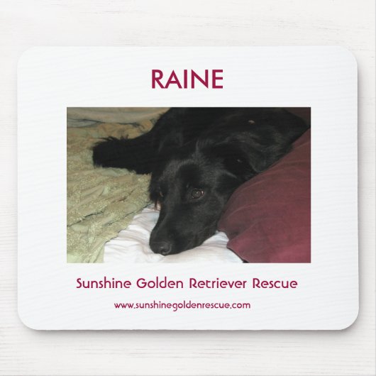 Raine - SunshineGoldenのレトリーバーの救助 マウスパッド (正面)