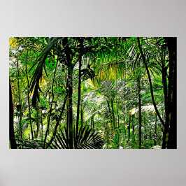 Rainforest Poster ポスター