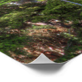 Rainier HDRプリントのスライスと聖なる書物、 経典詩 ポスター (角)