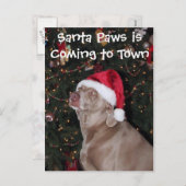 Rain's Christmas Card - Dog / Weimaraner シーズンポストカード (正面/裏面)