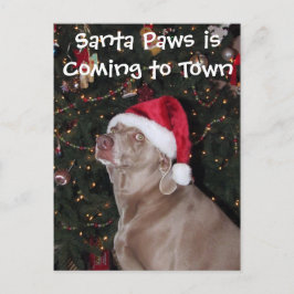 Rain's Christmas Card - Dog / Weimaraner シーズンポストカード
