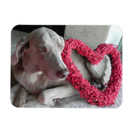 Rain's Love – 犬 – Weimaraner Magnet マグネット