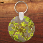 Raintree Branches Bonsai写真 キーホルダー (正面)