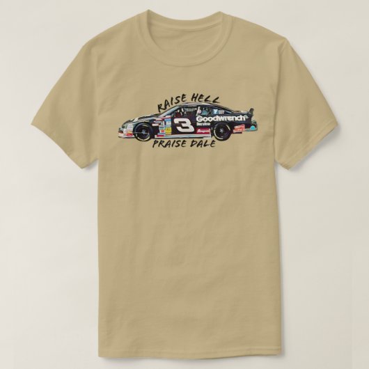 Raise Hell P賛美デールおもしろいヴィンテージTシャツ6204 Tシャツ (デザイン正面)