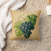 Raisin クッション (ブランケット)