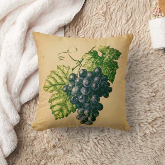 Raisin クッション (ブランケット)