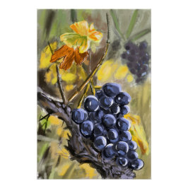 Raisins sur la souche de vigne, provence. ポスター