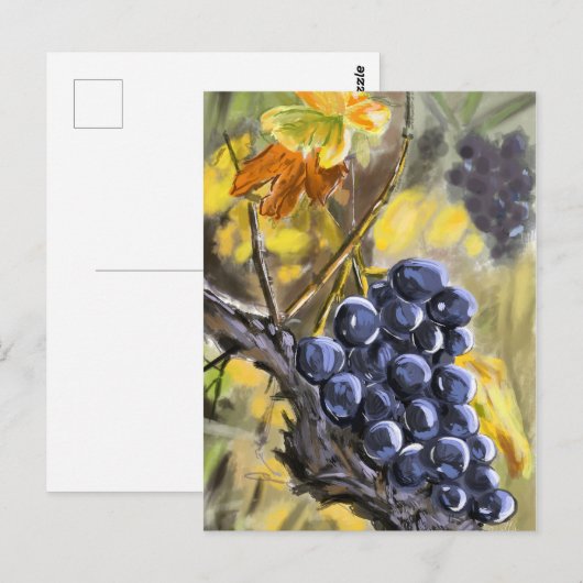 Raisins sur la souche de vigne, provence. ポストカード (正面/裏面)