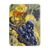 Raisins sur la souche de vigne, provence. マグネット (縦)
