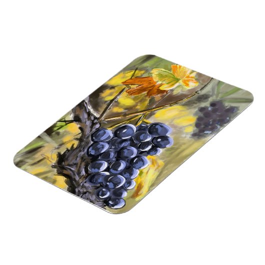 Raisins sur la souche de vigne, provence. マグネット (左側)