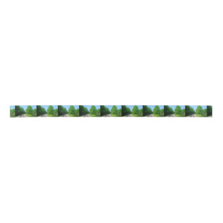 Raleigh郡の列車トラック サテンリボン