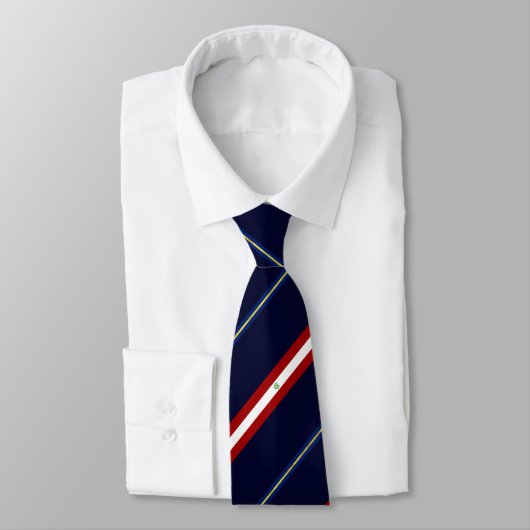Raleigh (North Carolina) flag-seal Neck Tie ネクタイ (タイ)