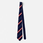 Raleigh (North Carolina) flag-seal Neck Tie ネクタイ (正面)