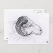 Ramオリジナルスケッチはがき ポストカード (正面/裏面)