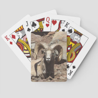 Ramカード トランプ