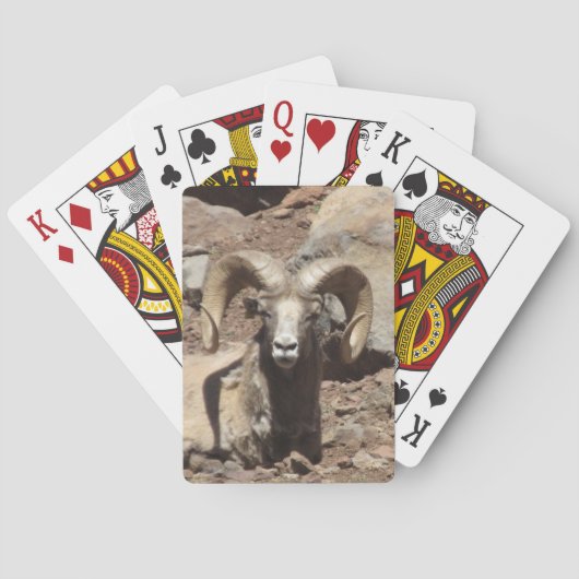 Ramカード トランプ (裏面)