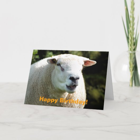 RAM カード (正面)