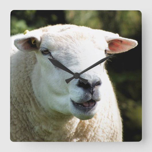 RAM スクエア壁時計 (正面)