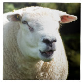 RAM タイル (正面)