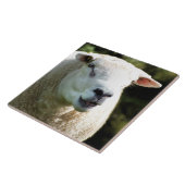 RAM タイル (側面)