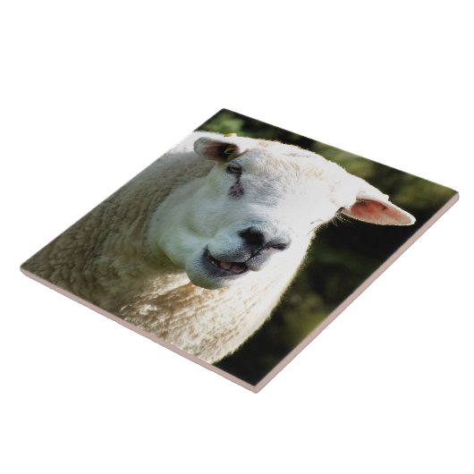 RAM タイル (側面)