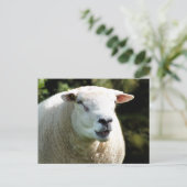 RAM ポストカード (スタンド正面)