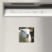 RAM マグネット (インサイチュ (食洗機))