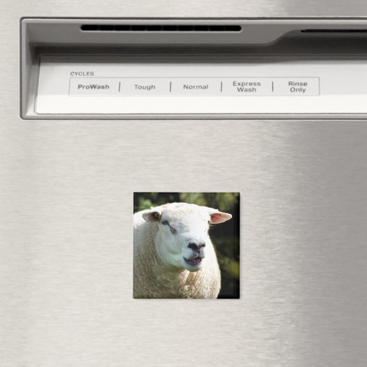 RAM マグネット (インサイチュ (食洗機))