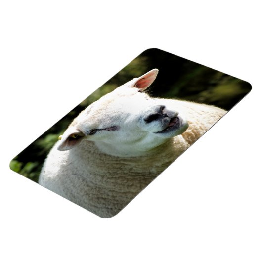 RAM マグネット (左側)