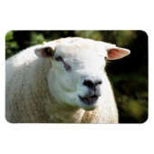 RAM マグネット (横)