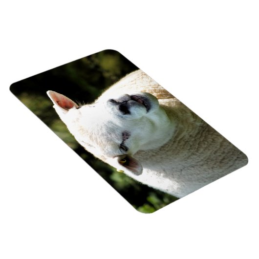 RAM マグネット (右側)