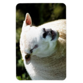 RAM マグネット (縦)