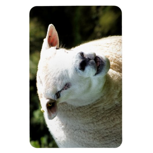 RAM マグネット (縦)