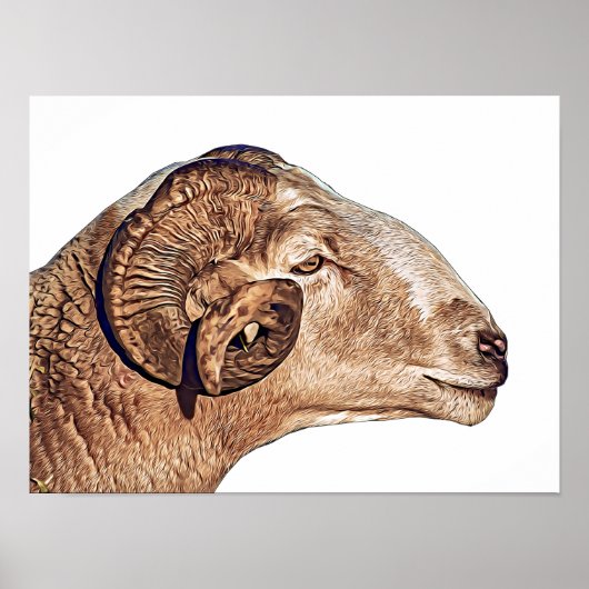 Ram Sheep Face Farm Animal nature wildlife Art ポスター (正面)